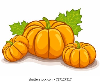 Isolated pumpkin, ripe harvest.