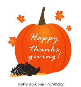 Isolated pumpkin with text, Thanksgiving day vector illustration