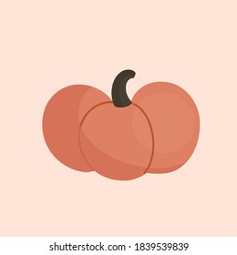 Isolated pumpkin. Pumpkin vector clipart.