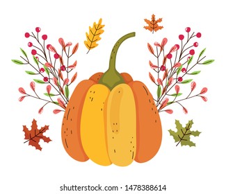 Isolated pumpkin vector design vector illustration