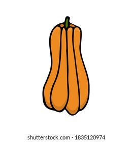Isolated pumpkin vector illustration on white background. Pumpkin icon in vector