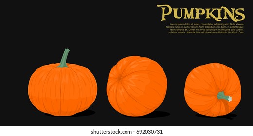 Isolated pumpkins on black background
