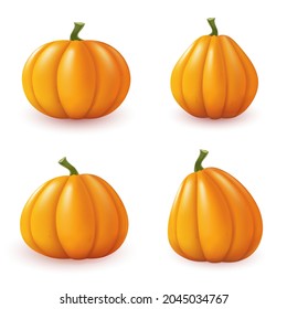 Calabazas aisladas sobre fondo blanco. Conjunto de elementos de otoño. Ilustración del vector