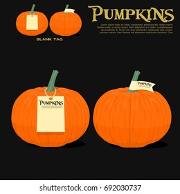 Isolated pumpkins with tag on black background
