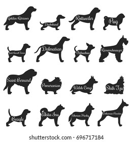 Isolated purebred dogs profile silhouette icon set with golden retriever pug beagle jack Russell terrier and other breeds vector illustration