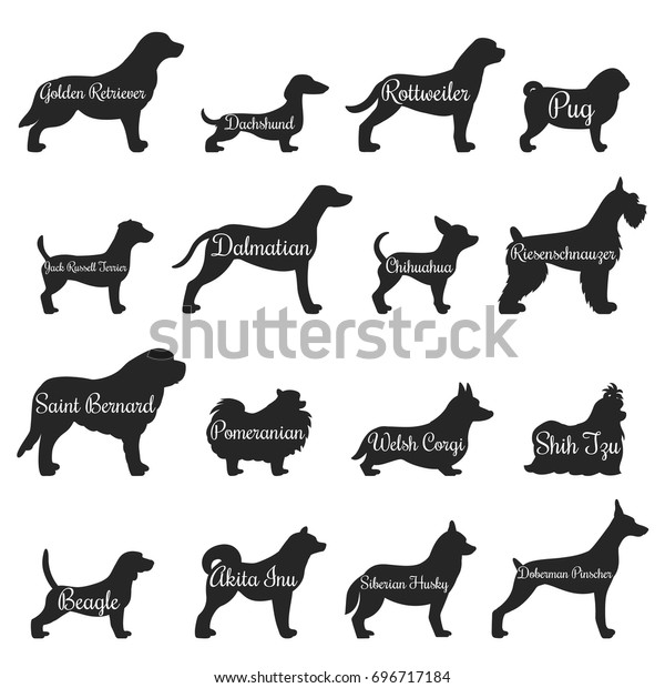 ゴールデンレトリーバーのパグビーグジャック ラッセル テリアーやその他の品種のベクターイラストを持つ 分離型純種犬のプロファイルシルエットアイコンセット のベクター画像素材 ロイヤリティフリー