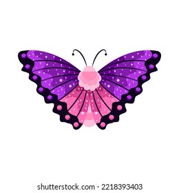 Isolated purple butterfly vector illustration