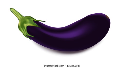 isolated purple eggplant