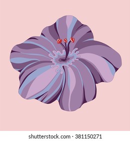 Isolated purple flower