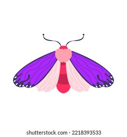 Isolated purple moth vector illustration