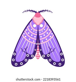 Isolated purple moth vector illustration
