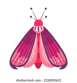 Isolated purple moth vector illustration