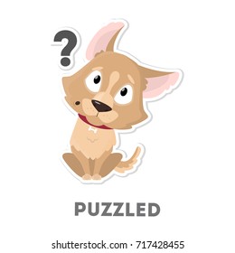 Isolated puzzled dog with question marks on white background.