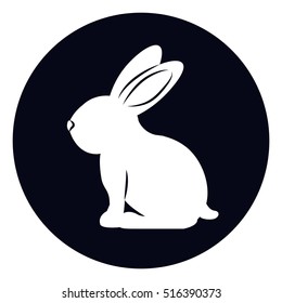 Isolated rabbit animal design