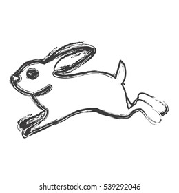 Isolated rabbit cartoon design