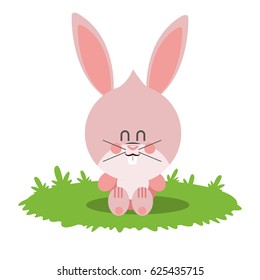 Isolated rabbit cartoon design