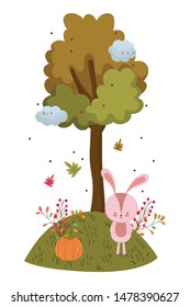 Isolated rabbit cartoon vector design