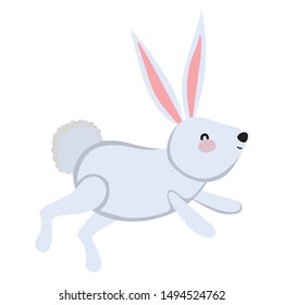 Isolated rabbit cartoon vector design