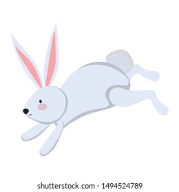 Isolated rabbit cartoon vector design