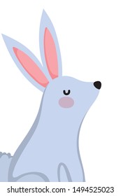 Isolated rabbit cartoon vector design