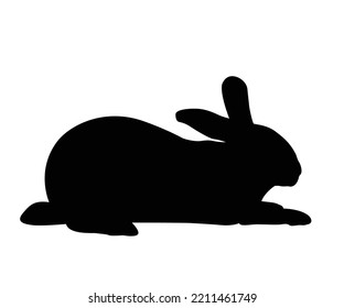 Isolated rabbit shadow on white background, set of different rabbit silhouettes for design use.
