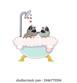 Isolated Raccoons are in love having a bath in Cartoon style, two Raccoons doing daily routine together on white isolated background prints, patterns, stickers, icons for social media, apps and webs.