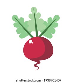 Isolated radish icon. Vegetable icon - Vector illustration