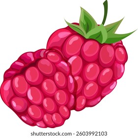 Isolated raspberry on white background