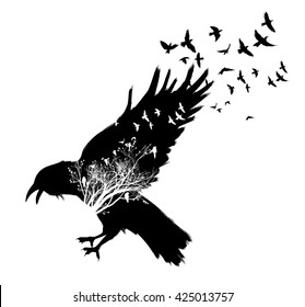 Isolated Raven double exposure. Trees and birds silhouettes on background