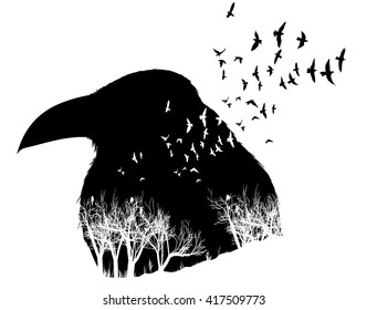 Isolated Raven illustration with double exposure effect. Decoration with birds and trees.