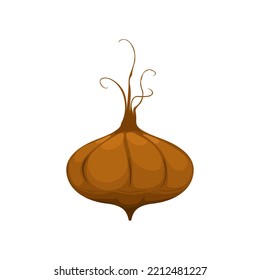 Isolated raw brown jicama edible tuber plant, vector object. Mexican turnip or jicama bulb root, farm market veggie or ripe vegetable,vector ilustration