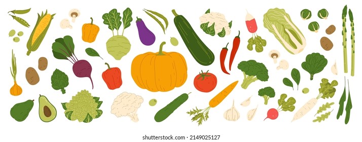 Isolated raw vegetables, food and vegetarian veggies vector icons. Carrot, cucumber and organic onion or eggplant, vegan veggies and farm vegetables of tomato, green cabbage and pepper with radish