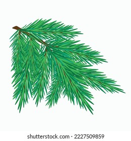 
Isolated realistic christmas tree branch on white background