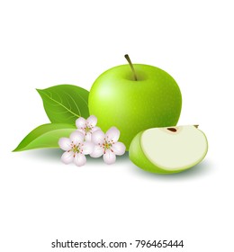 Isolated realistic colored green apple slice and whole juicy fruit with white flower, green leaves and shadow on white background.