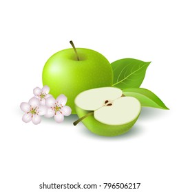 Isolated realistic colored green half apple and whole juicy fruit with white flower, green leaves and shadow on white background.