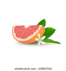 Isolated realistic colored slice of juicy pink color grapefruit with green leaf, white flower and shadow on white background.