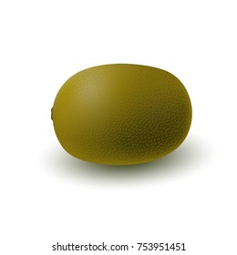 Isolated realistic colored whole green juicy kiwi with shadow on white background. Side view.