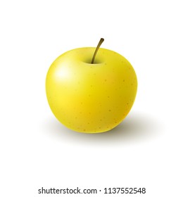 Isolated realistic colored yellow apple. Whole juicy fruit with shadow on white background.