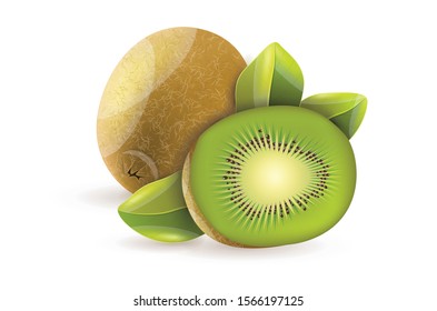 Isolated realistic colorful whole juicy and half green kiwi with shadow Vector Illustration on white background