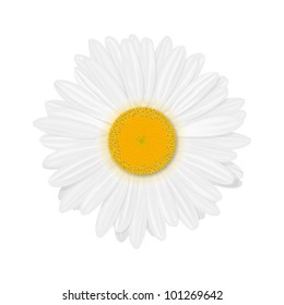 花 マーガレット のイラスト素材 画像 ベクター画像 Shutterstock