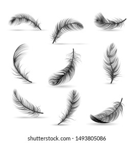 Isolated and realistic feather black icon set feather slowly falling down on white background vector illustration