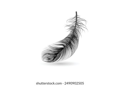 Isolated and realistic feather black icon feather slowly falling down design editable transparent background