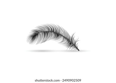 Isolated and realistic feather black icon feather slowly falling down design editable transparent background