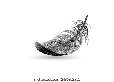 Isolated and realistic feather black icon feather slowly falling down design editable transparent background