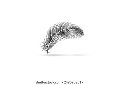 Isolated and realistic feather black icon feather slowly falling down design editable transparent background