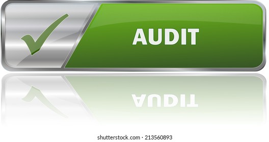 isolated realistic modern green 3D vector eps10 audit label sign