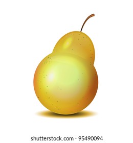 Isolated realistic pear on white, vector illustration, eps10