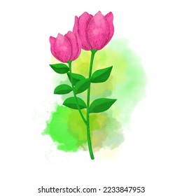 Isolated realistic tulip flower, blossom, branches, leaves vector set. Design spring tree illustration