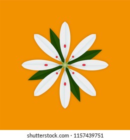 Isolated realistic white flower