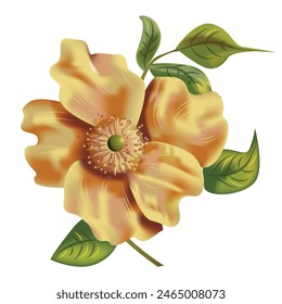 Isolated, Realistic Yellow Flower Vector Illustration